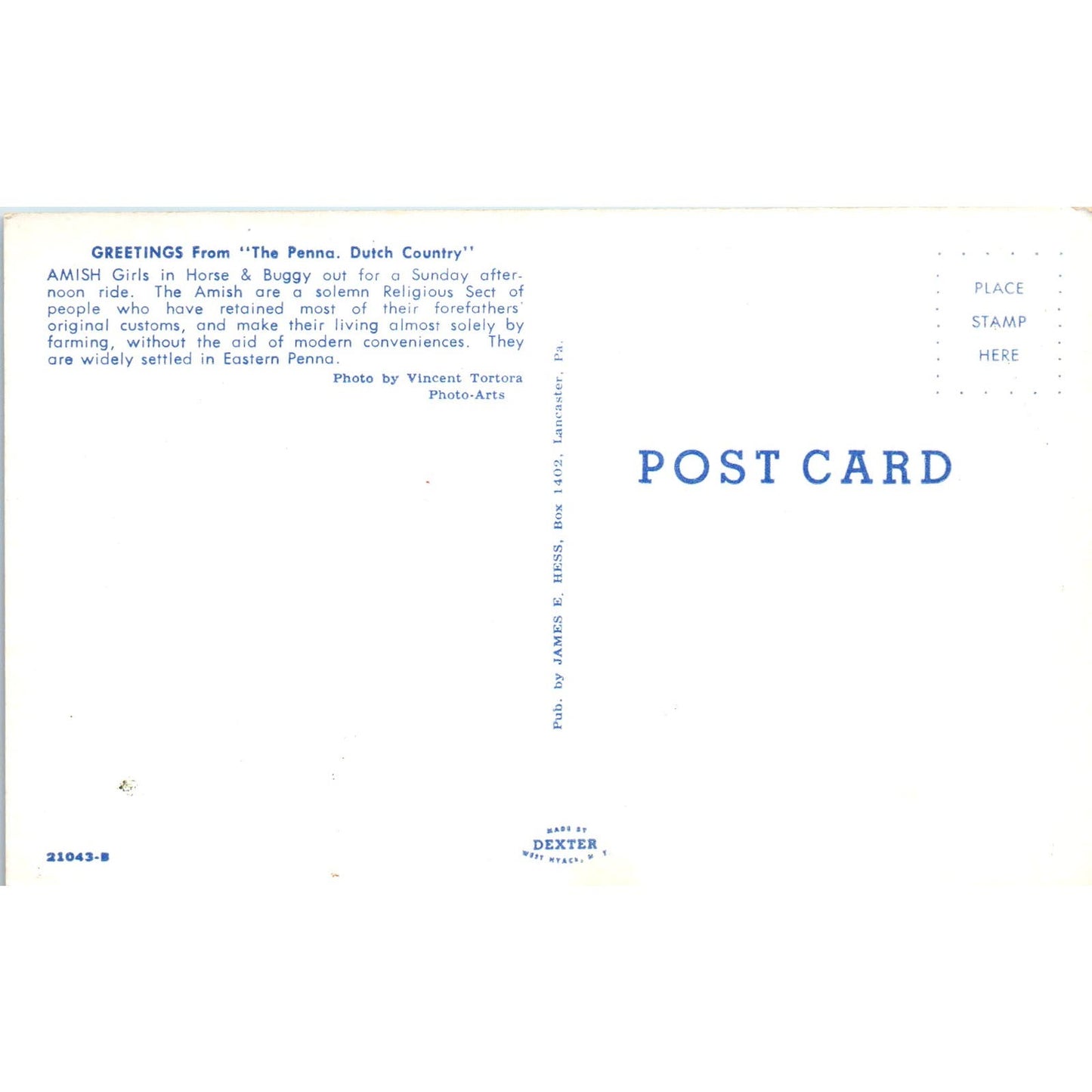 Amish Girls on Sunday Buggy Ride Pennsylvania Dutch Country Postcard PD8