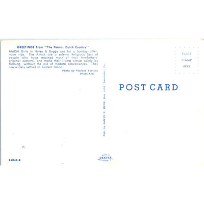 Amish Girls on Sunday Buggy Ride Pennsylvania Dutch Country Postcard PD8