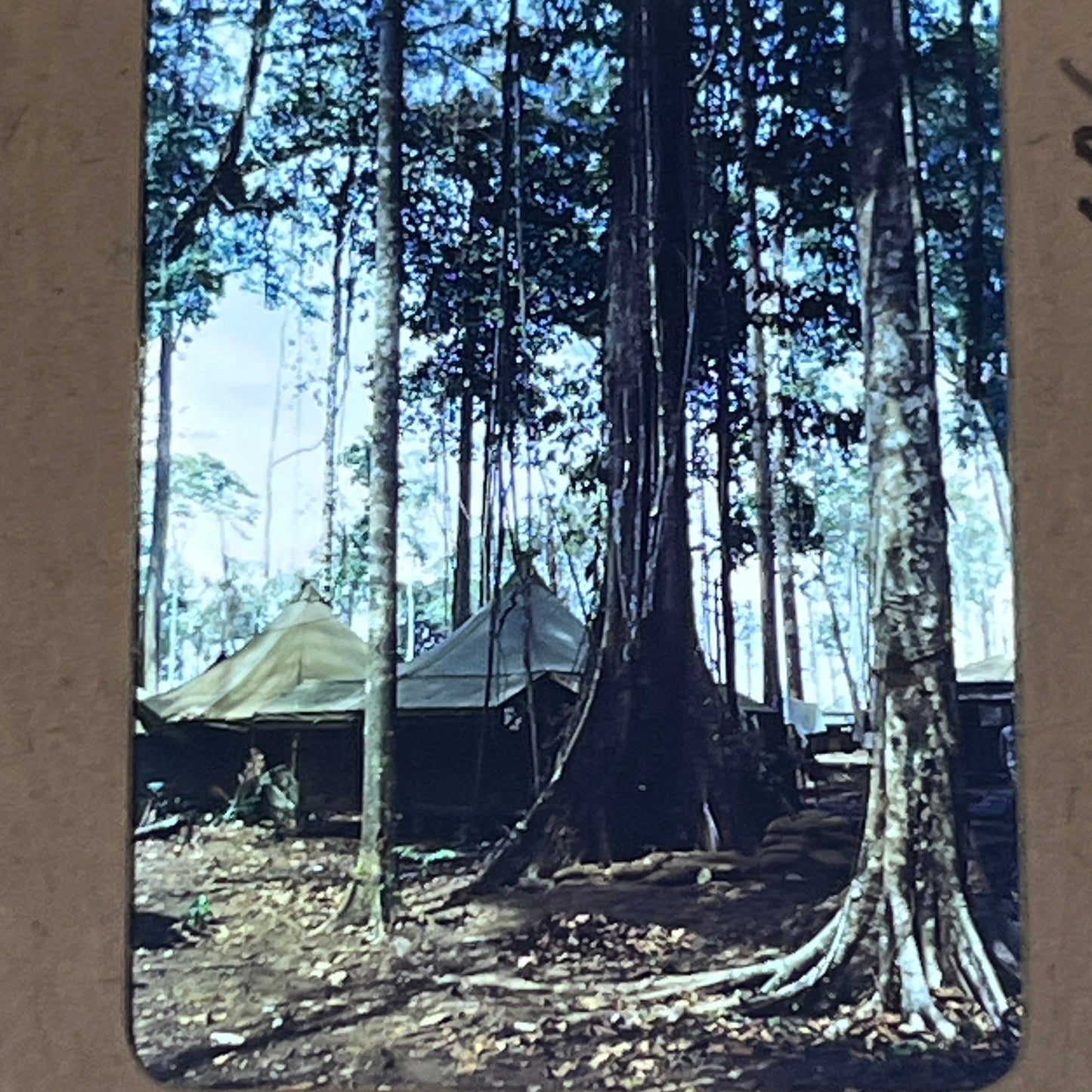 WWII 1944 Large Group of ~39 Slides US Soldier at Sansapor South Pacific TB8-SL1