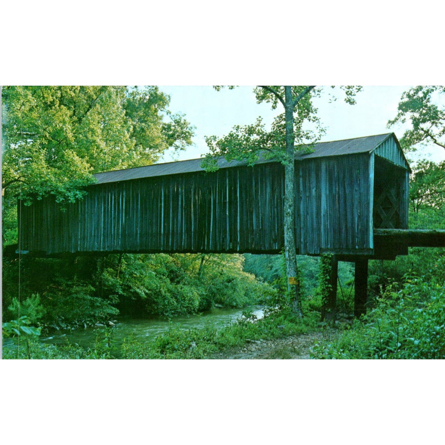 Juno Georgia Amicalola Vintage Covered Bridge Postcard PC12