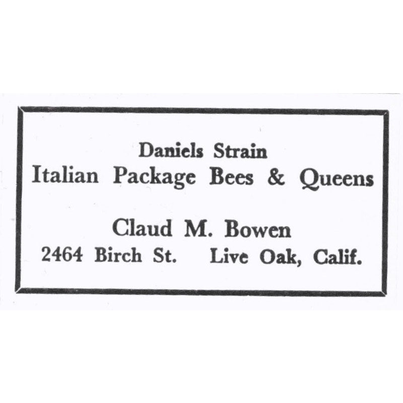 Daniels Strain Bees Claud M. Bowen Live Oak CA 1964 Magazine Ad AB6-S15