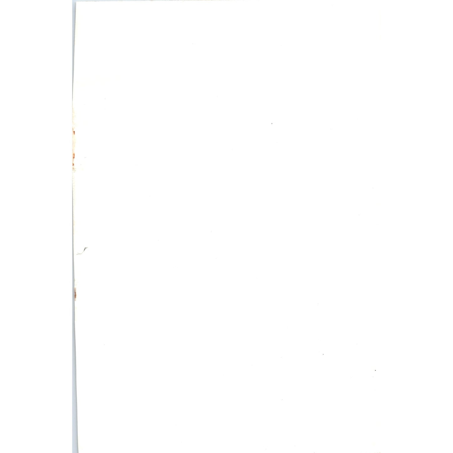 Sand Martin Bird 1903 Original Color Engraving Plate Print AD8-B7