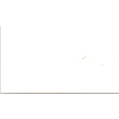 Delores Wheat Entire Interior Systems Houston TX Vintage Business Card SD8-B4