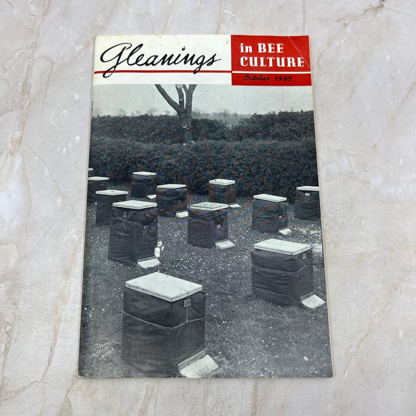 1965 Oct Gleanings in Bee Culture Magazine Bees Beekeeping Honey TD7