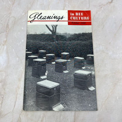 1965 Oct Gleanings in Bee Culture Magazine Bees Beekeeping Honey TD7