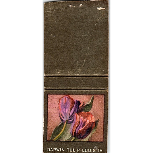 Darwin Tulip Louis IV Collectible Vintage Matchbook Cover SC7-Y7