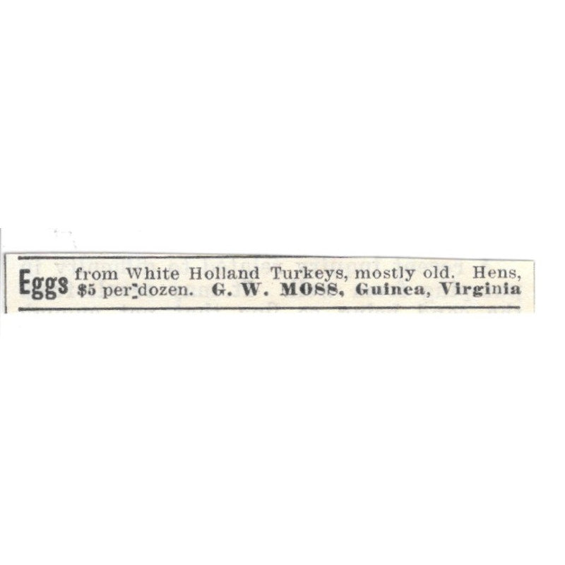 G.W. Moss Hen Eggs Guinea Virginia 1924 Ad AG3-S9