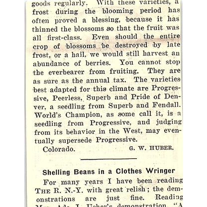 Kelly Bros. Nurseries Fruit Trees Dansville NY 1924 Ad AG3-S16