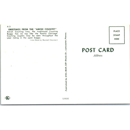 Amish Open Top Courting Carriage Buggy Pennsylvania Dutch Country Postcard PD8