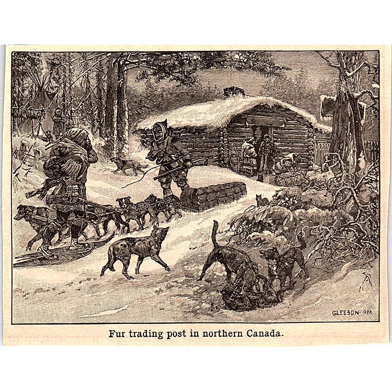 Dog Sled at Fur Trading Post in Northern Canada 3x4" 1901 Engraving AF6-M13