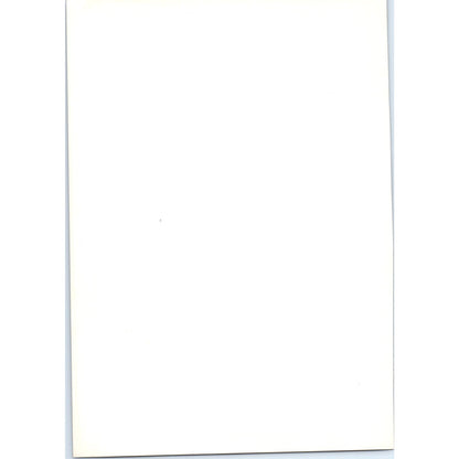 Portrait of Mrs. Campbell of Ballimore - Raeburn c1905 Art Print D16