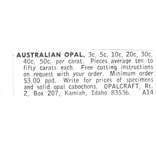 Harry E Oglesbee Mojave Desert Petrified Palm Root Barstow CA 1972 Ad AF8-S15