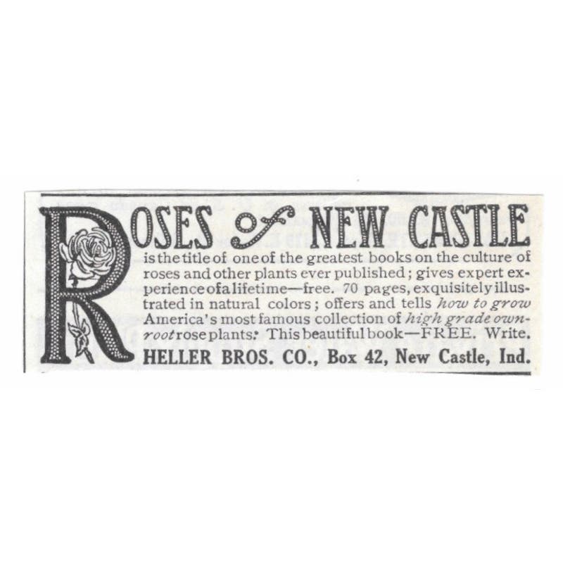 Roses of New Castle Heller Bros Co Indiana 1913 Magazine Advertisement AE7-N8