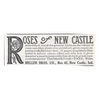Roses of New Castle Heller Bros Co Indiana 1913 Magazine Advertisement AE7-N8