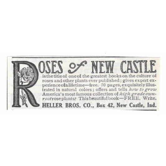 Roses of New Castle Heller Bros Co Indiana 1913 Magazine Advertisement AE7-N8