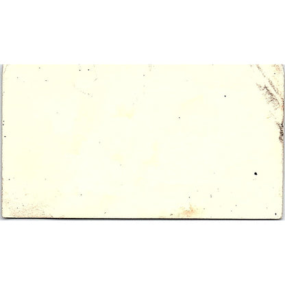 E.L. Scott Exclusive Oil Paintings Altadena CA Vintage Business Card SE3-B11