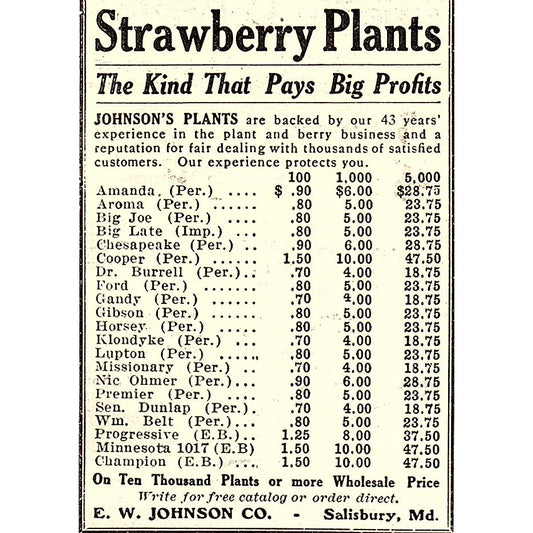 E.W. Johnson Co Strawberry Plants Salisbury MD 1924 Ad AG3-M3