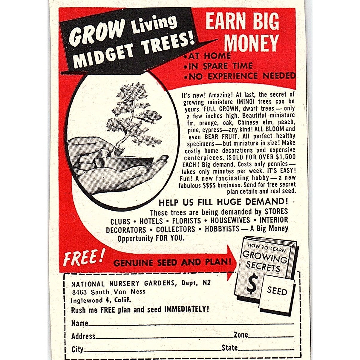 Grow Living Midget Trees - National Nursery Gardens Inglewood CA 1955 Ad AF9-M2