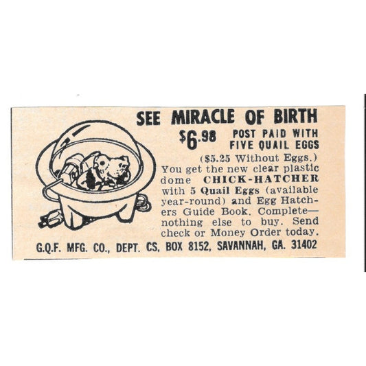 Clear Dome Chick-Hatcher G.Q.F. Mfg Co Savannah GA 1977 Ad AF6-S2