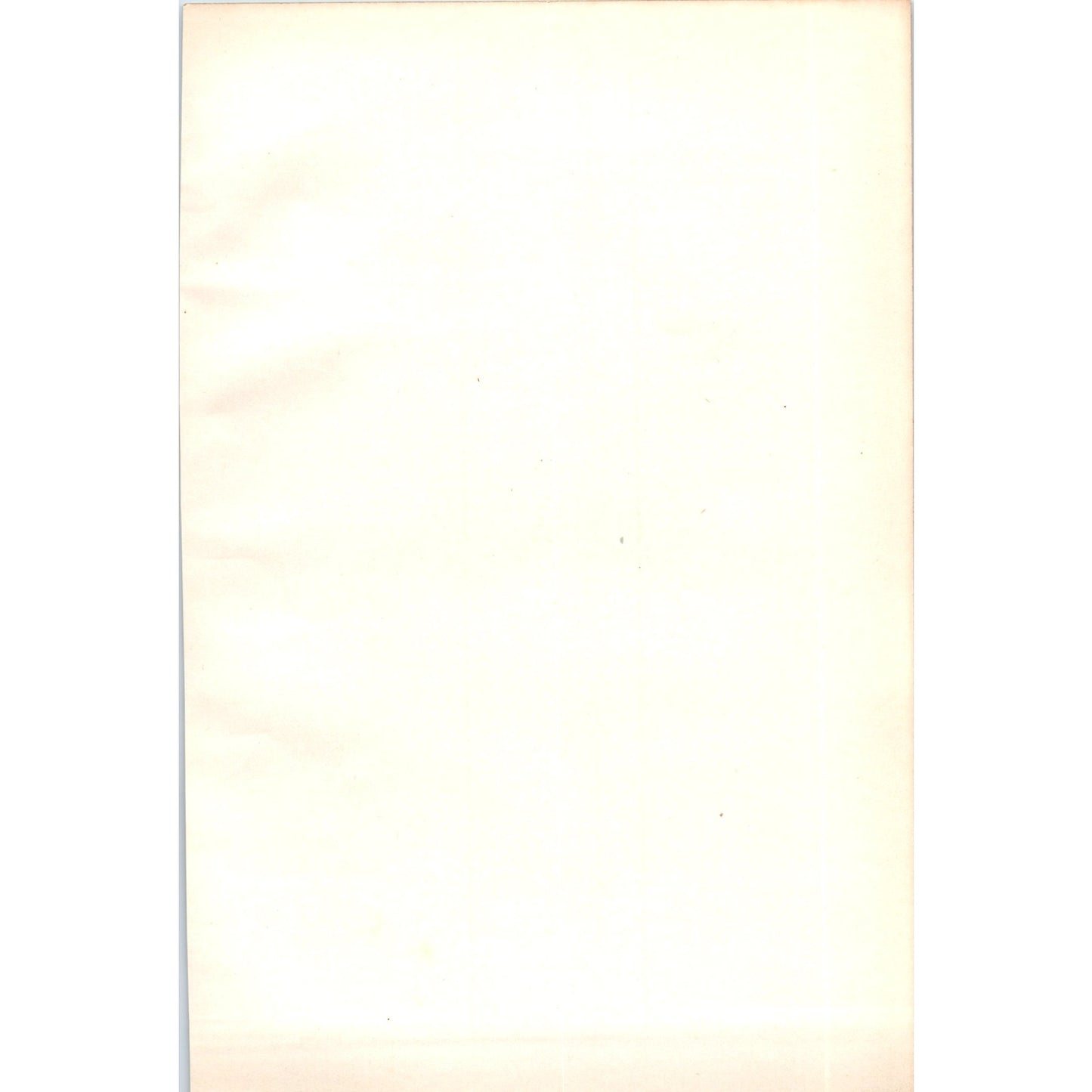 Redwing Bird 1903 Original Color Engraving Plate Print AD8-B5