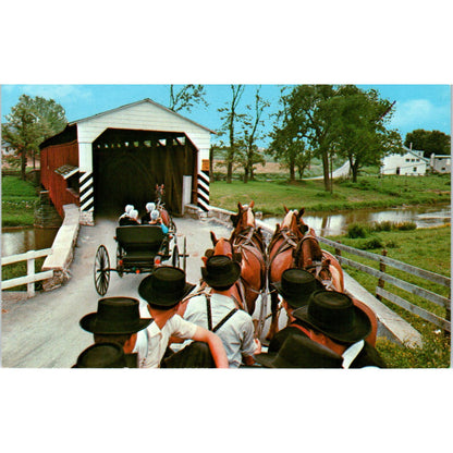 Amish Boys Watching Girls on Buggy Pennsylvania Dutch Country Postcard PD7