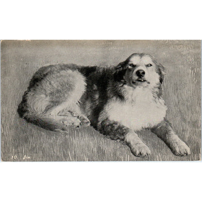 Oregon Trail Expedition Dog Jim Antique Postcard PD2