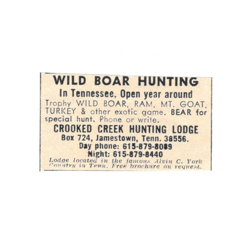 Crooked Creek Hunting Lodge Wild Boar Alvin C York Jamestown TN 1977 Ad AF6-S1