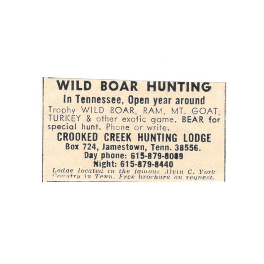 Crooked Creek Hunting Lodge Wild Boar Alvin C York Jamestown TN 1977 Ad AF6-S1