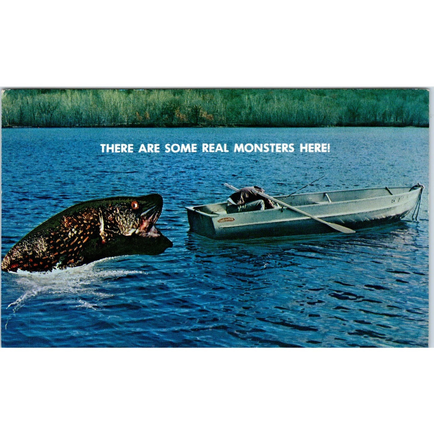 1966 Giant Fish Fishing in Rowboat Real Monsters Here Humor Postcard PC8