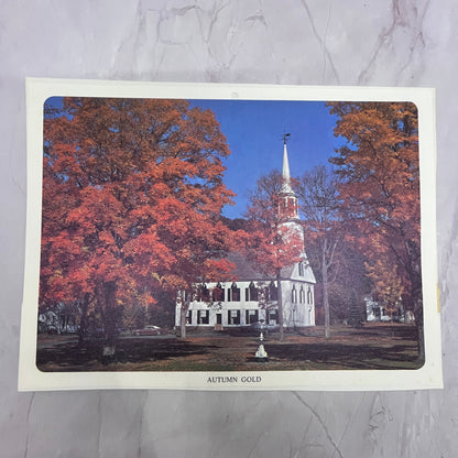 Townshend Church - Vermont Autumn Gold 7x10" Art Print V17
