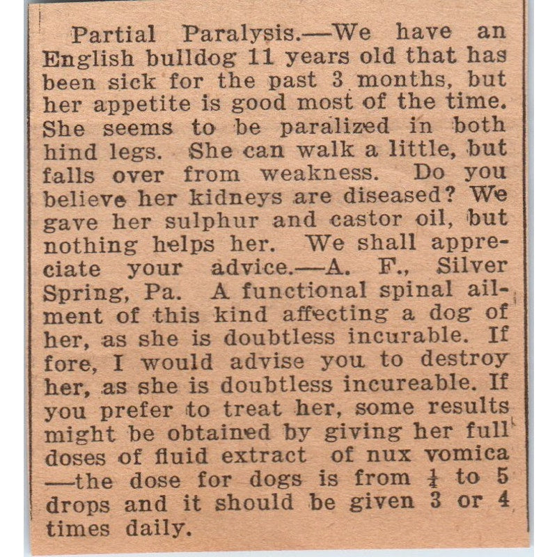 English Bulldog Partial Paralysis Article Silver Spring PA 1922 Magazine AF2-S9