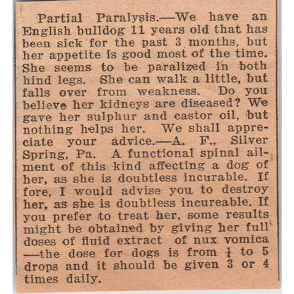 English Bulldog Partial Paralysis Article Silver Spring PA 1922 Magazine AF2-S9