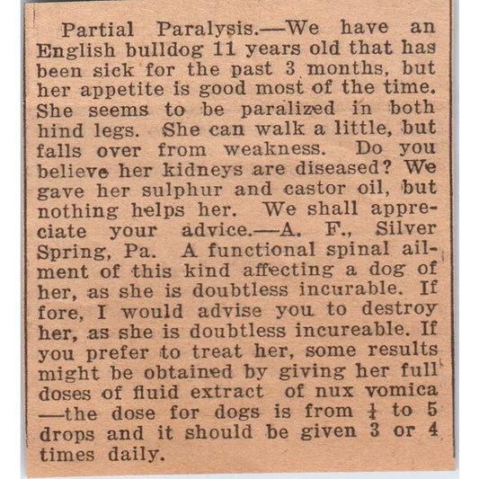 English Bulldog Partial Paralysis Article Silver Spring PA 1922 Magazine AF2-S9