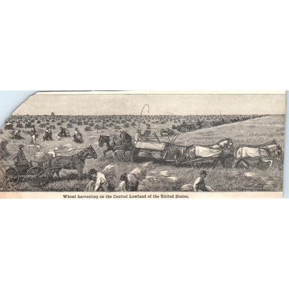 Wheat Harvesting on the Central Lowland of the US 1901 Engraving AF2-A6