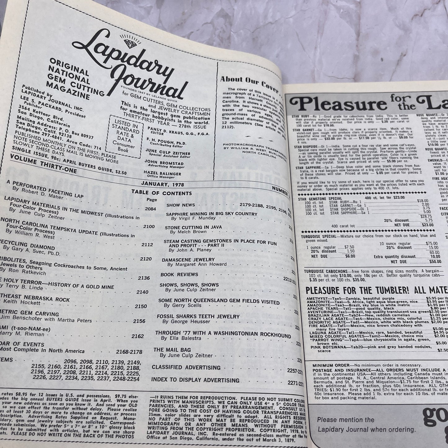 Tempskya Fern Harnett County NC - Lapidary Journal Magazine - Jan 1978 M27