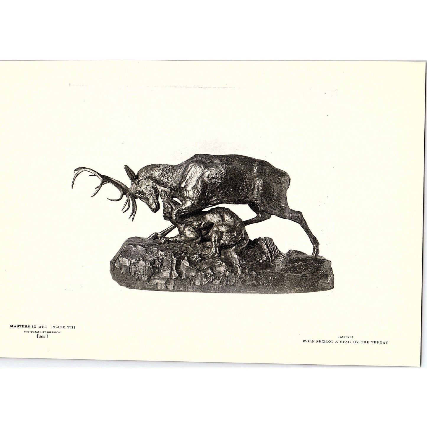 Wolf Seizing a Stag by the Throat - Barye - 1904 Litho Art Print AF4-6