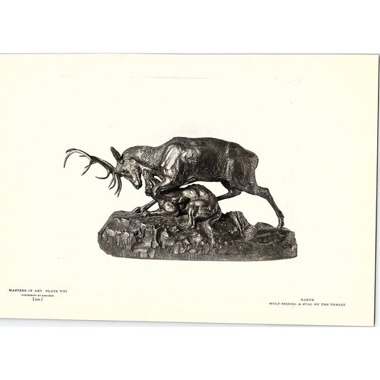 Wolf Seizing a Stag by the Throat - Barye - 1904 Litho Art Print AF4-6
