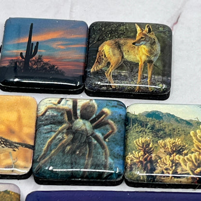 Vintage Lot of 8 Southwestern Refrigerator Magnets Tarantula Coyote SB7