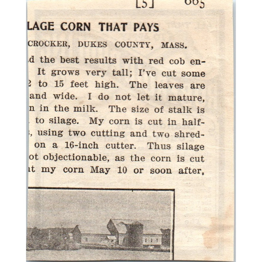 Ruberoid Roofing Standard Paint Company NY 1905 Magazine Ad AF1-NH2