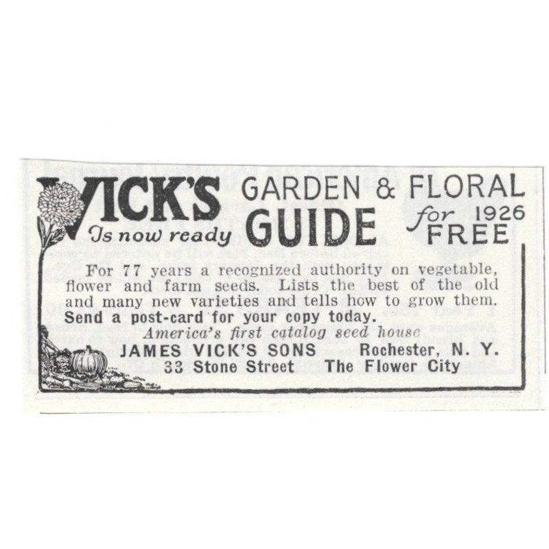 James Vick's Sons Gardens and Flowers Rochester NY 1926 Ad AG3-S23