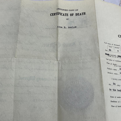 1919 Death Certificate Anna E. Gorlow Reding Township NJ Death By Hanging TG9-E1