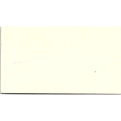 Belmont Shore Furniture Lesley Greer Long Beach CA Vintage Business Card SF3-B2