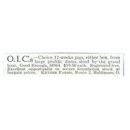 O.I.C. 12 Week Pigs Ketner Farms Baltimore OH 1913 Magazine Advertisement AE7-N8