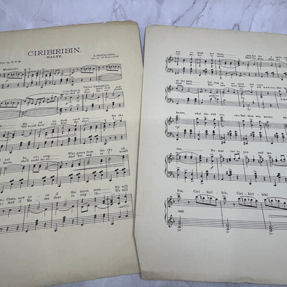 c1900 Ciribiribin Waltz H. Pestalozza Emerson Drug Baltimore Sheet Music V16