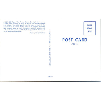 Amish Father Waiting for School Children Pennsylvania Dutch Country Postcard PD5