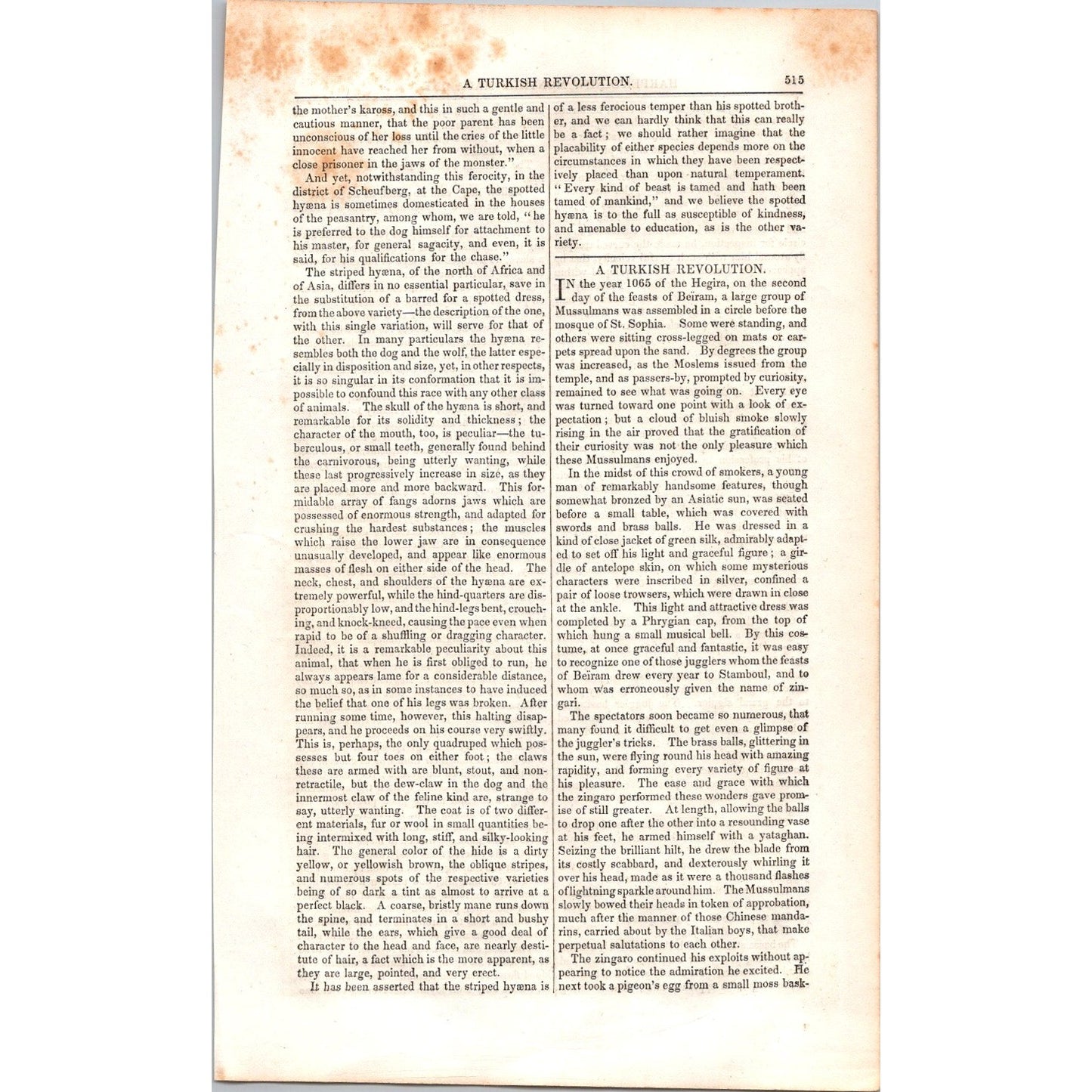 The Hyena Hyæna - 2 Pages 1854 Article I19