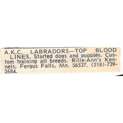 Rille-Ann's Kennels AKC Labradors Fergus Falls MN 1977 Ad AF6-S9