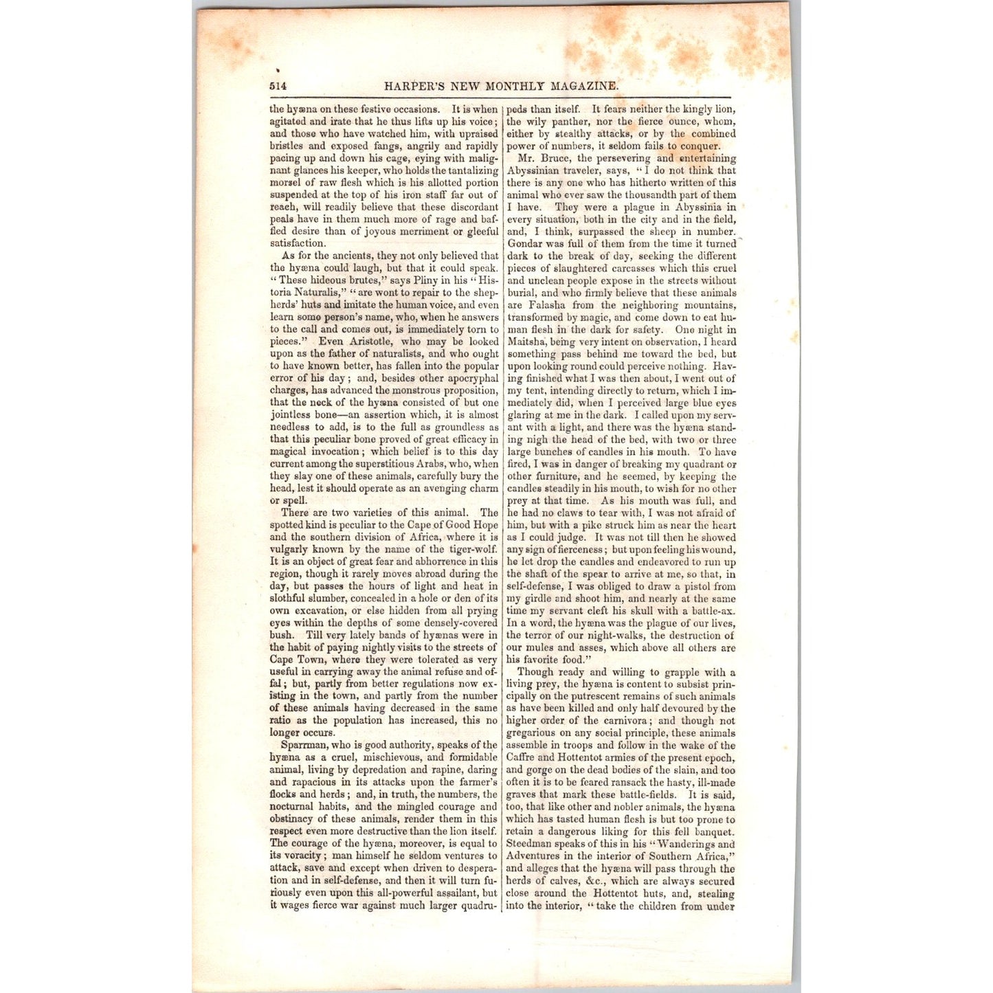 The Hyena Hyæna - 2 Pages 1854 Article I19