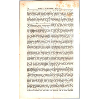The Hyena Hyæna - 2 Pages 1854 Article I19