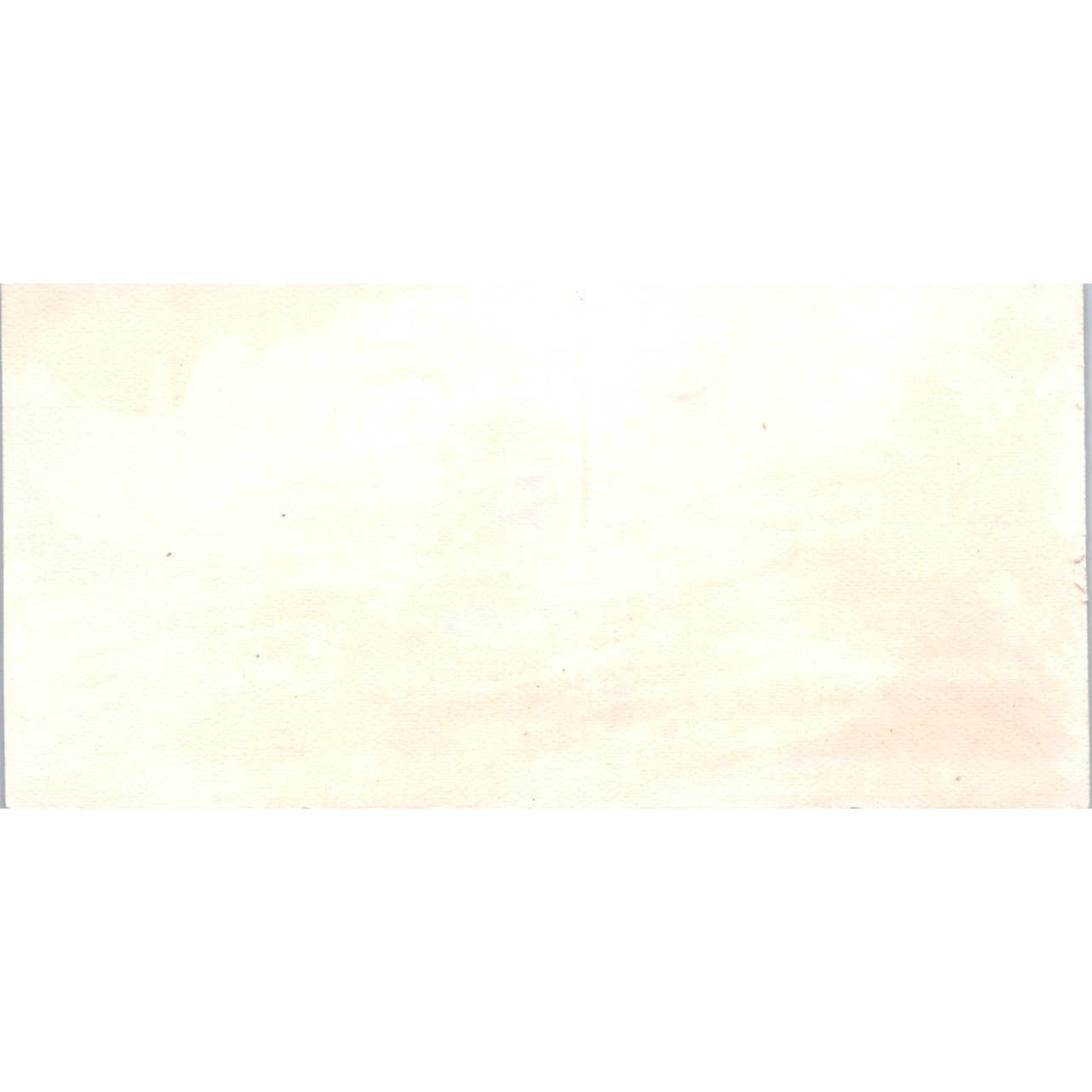 Antique Victorian Bookmark Cat and White Cockatiel AB9